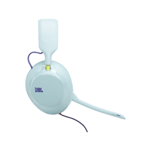 JBL Quantum 120