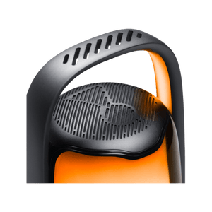 JBL Pulse 6