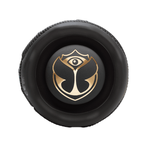 JBL Flip 7 Tomorrowland