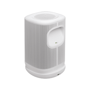 JBL Cove P1